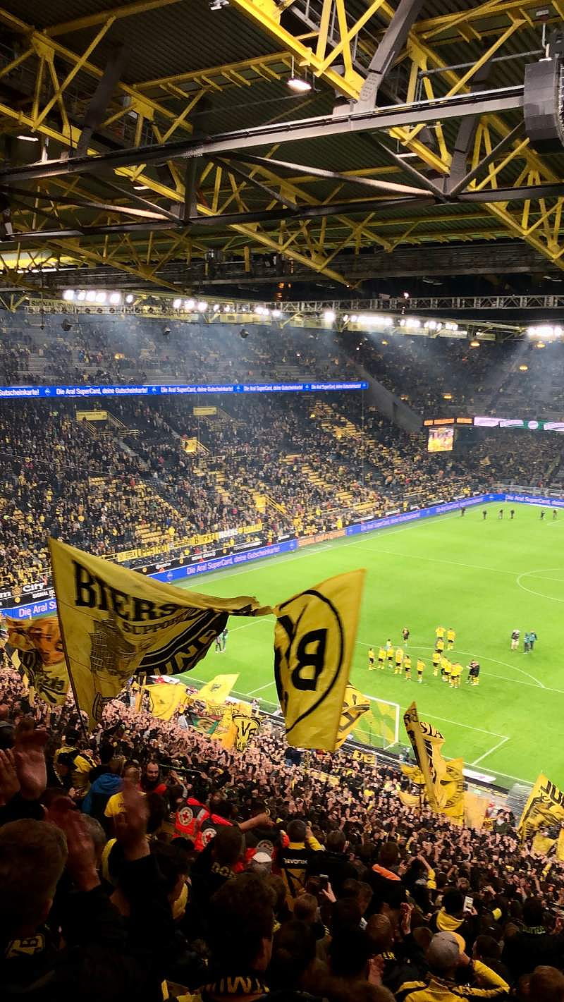 800x1421 At Signal Iduna Park, Borussia Dortmund Stadium, HD phone wallpaper