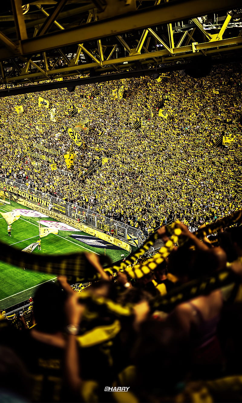 800x1333 HD westfalenstadion dortmund wallpaper