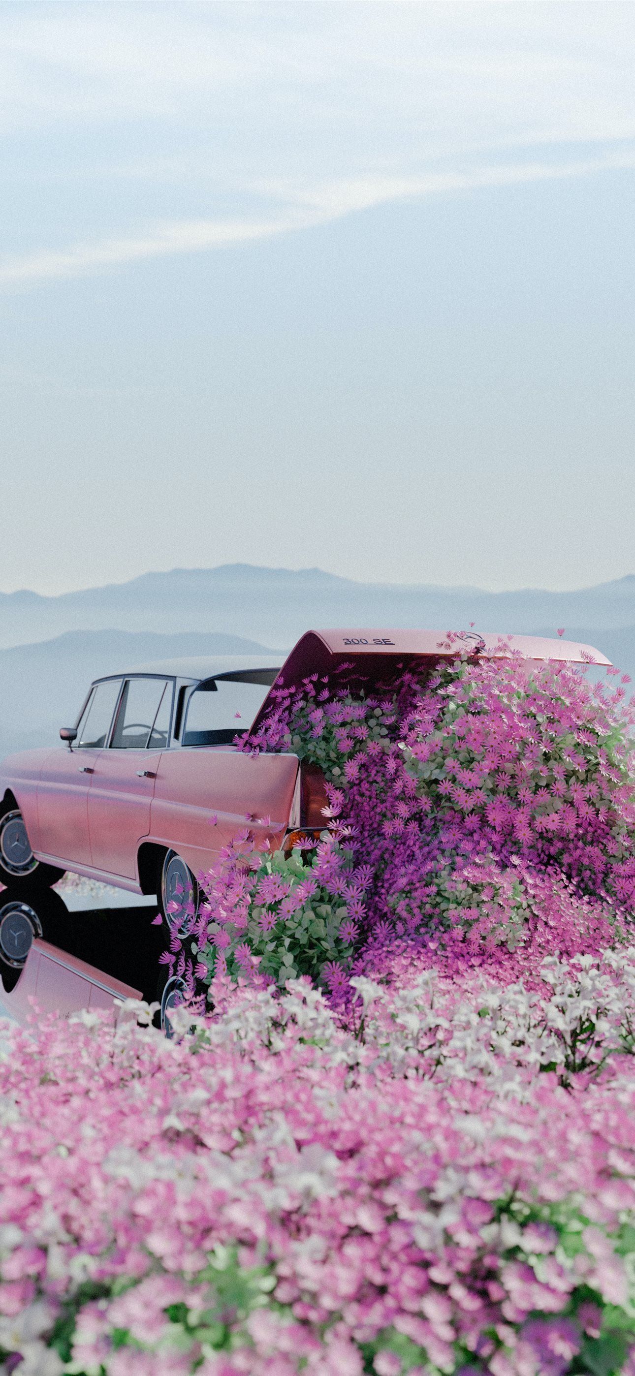 1290x2796 a pink car parked in a field of flowers iPhone Wallpaper Free Download