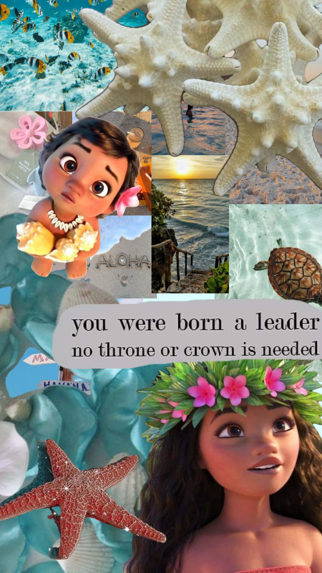 1080x1920 Moana Aesthetic Wallpaper