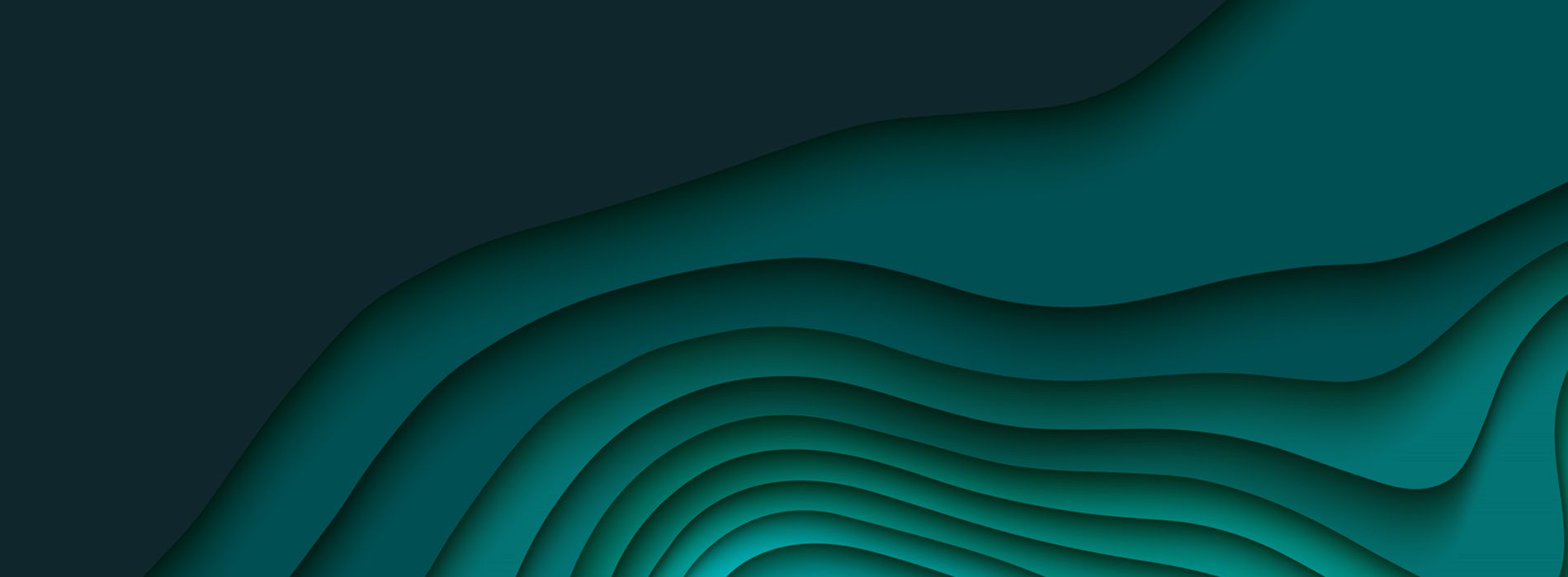1900x700 AlgoSec