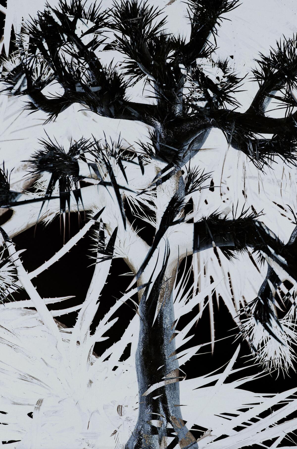 1200x1813 Plastic Tree Wallpaper