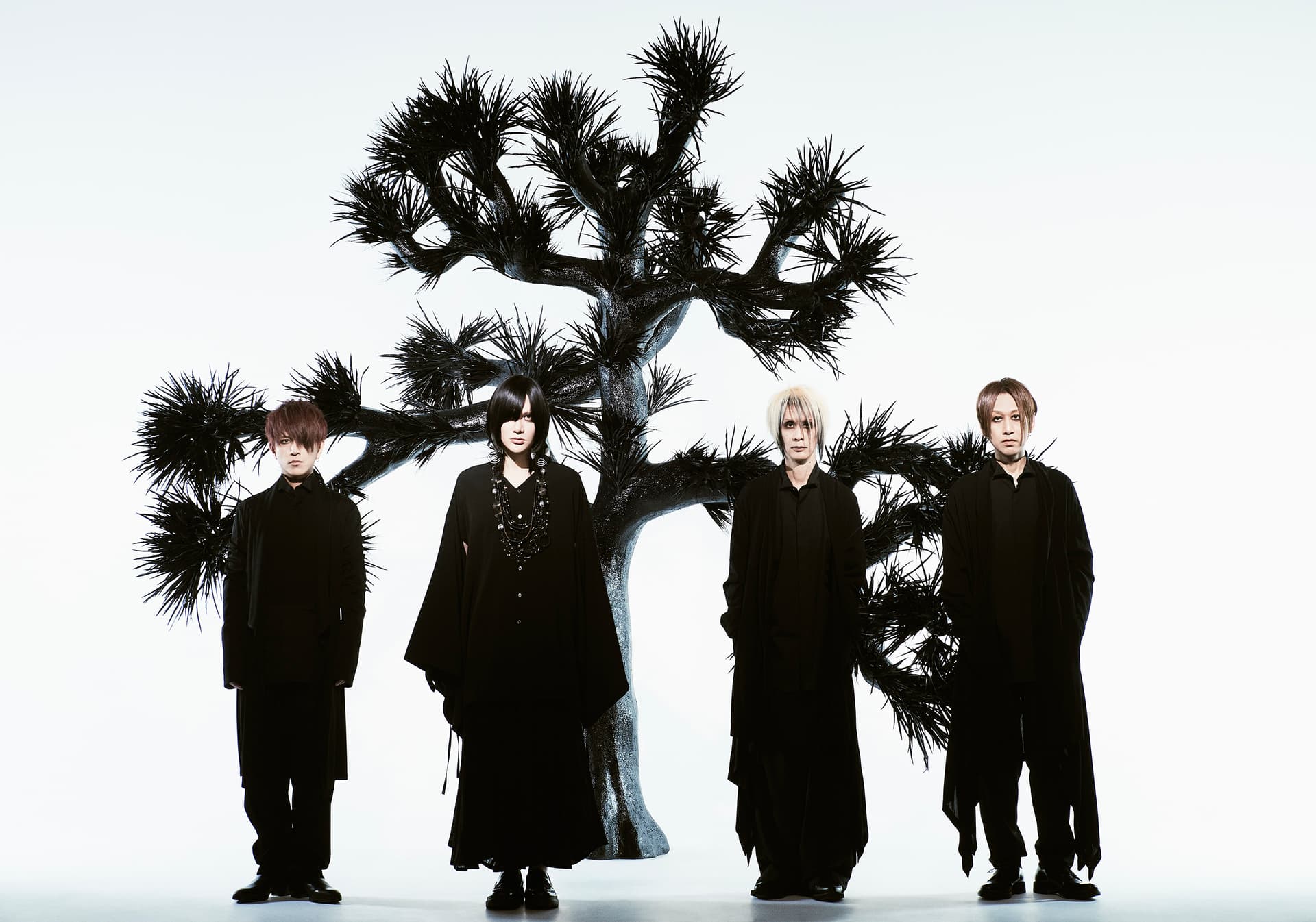 1920x1346 Plastic Tree Wallpaper