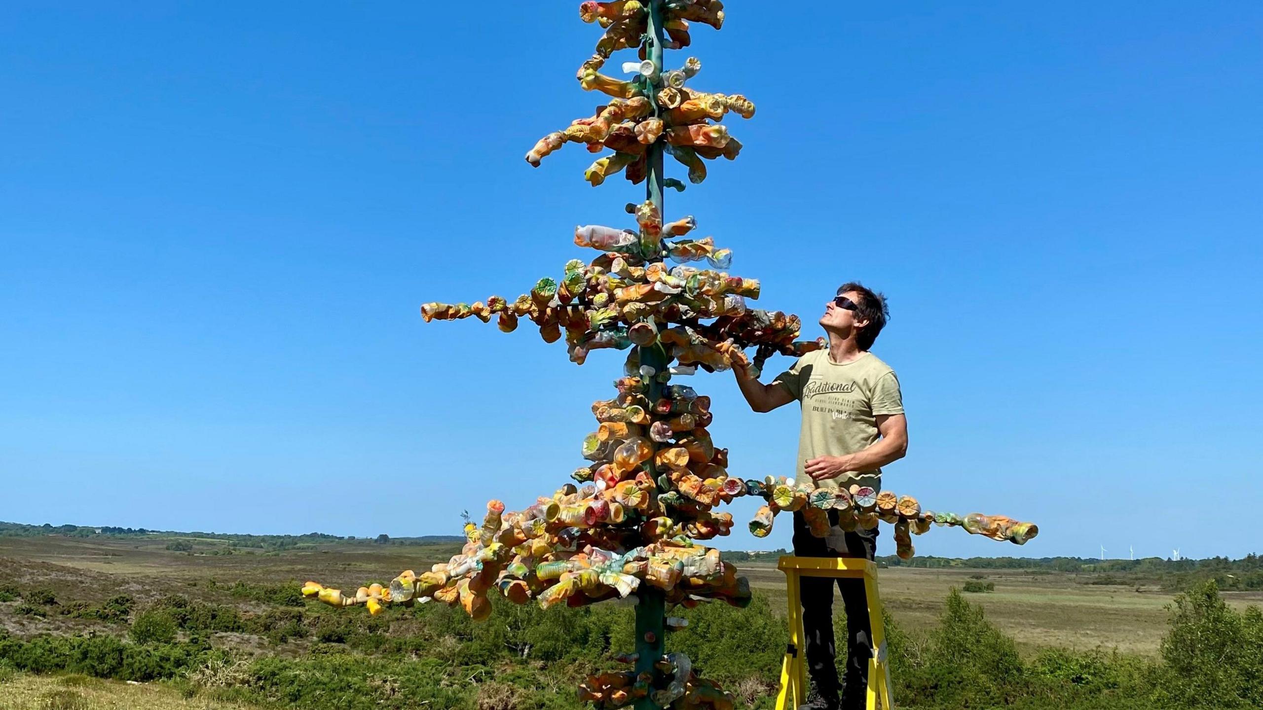 2560x1440 Purbeck sculptor makes tree from discarded plastic