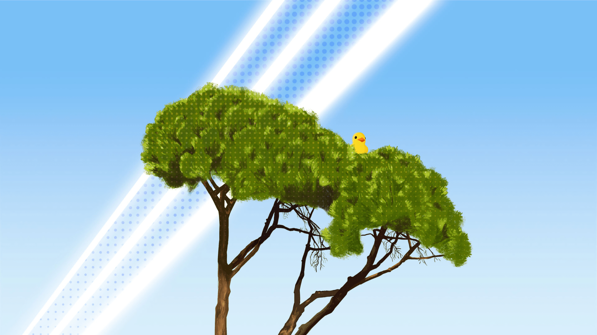 1920x1080 Download Video Game Placid Plastic Duck Simulator HD Wallpaperx1080