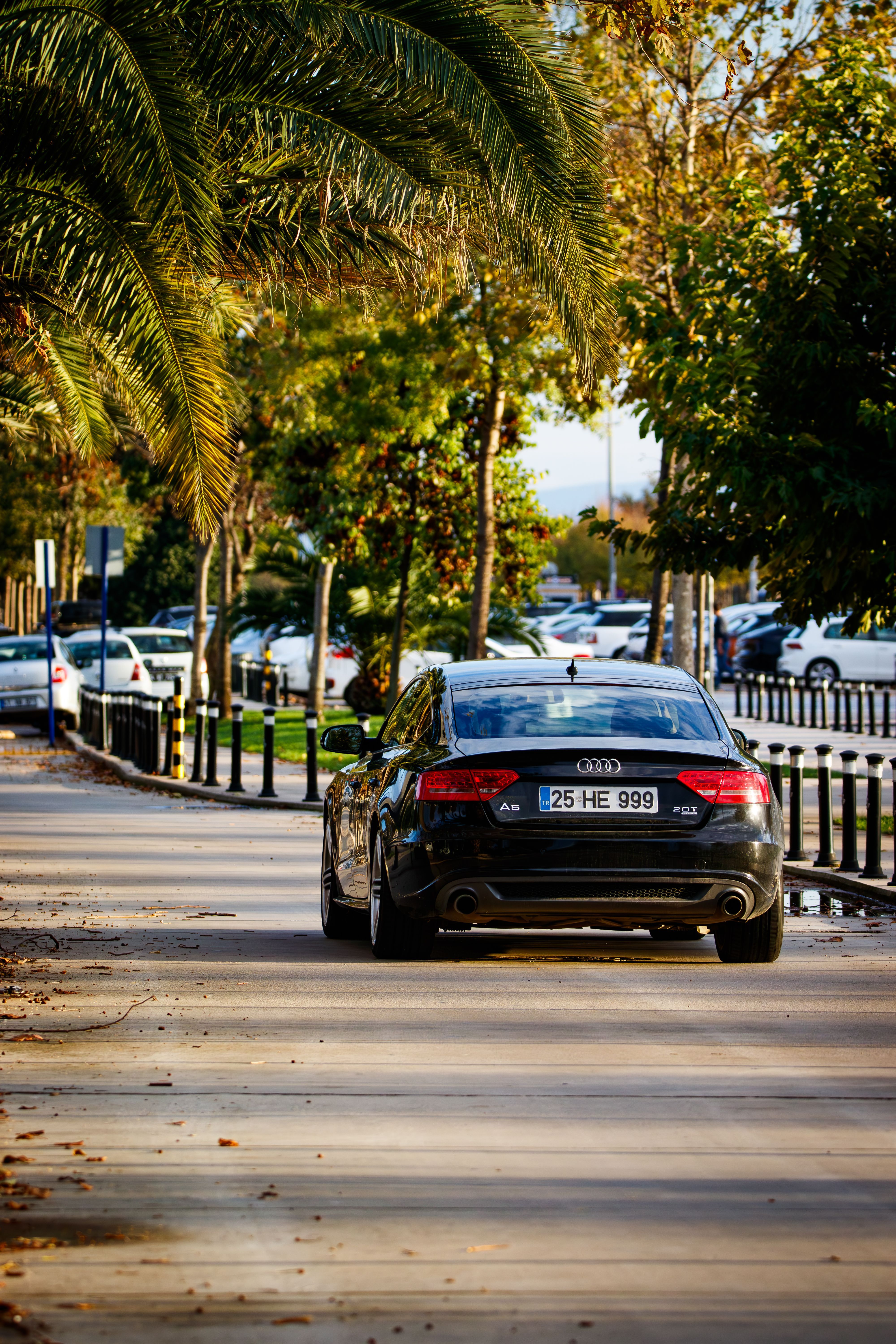 4000x6000 Audi A5 Photo, Download The BEST Free Audi A5 & HD Image