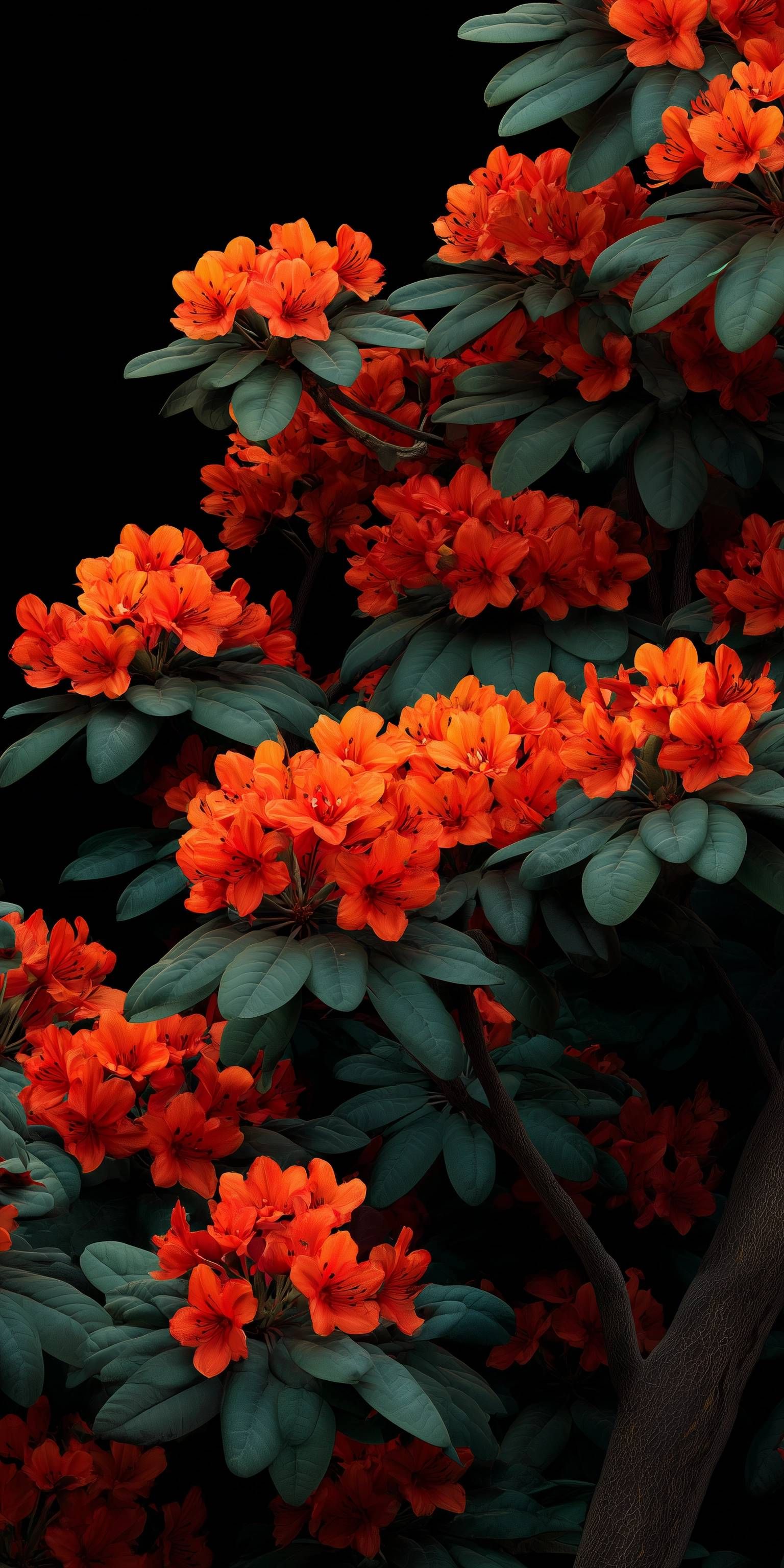 1536x3072 One ui 8.5 Wallpaper & More
