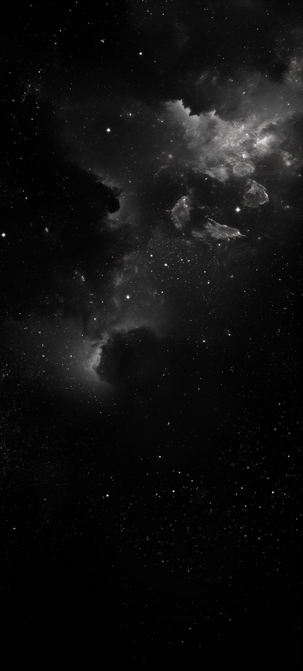 1155x2560 