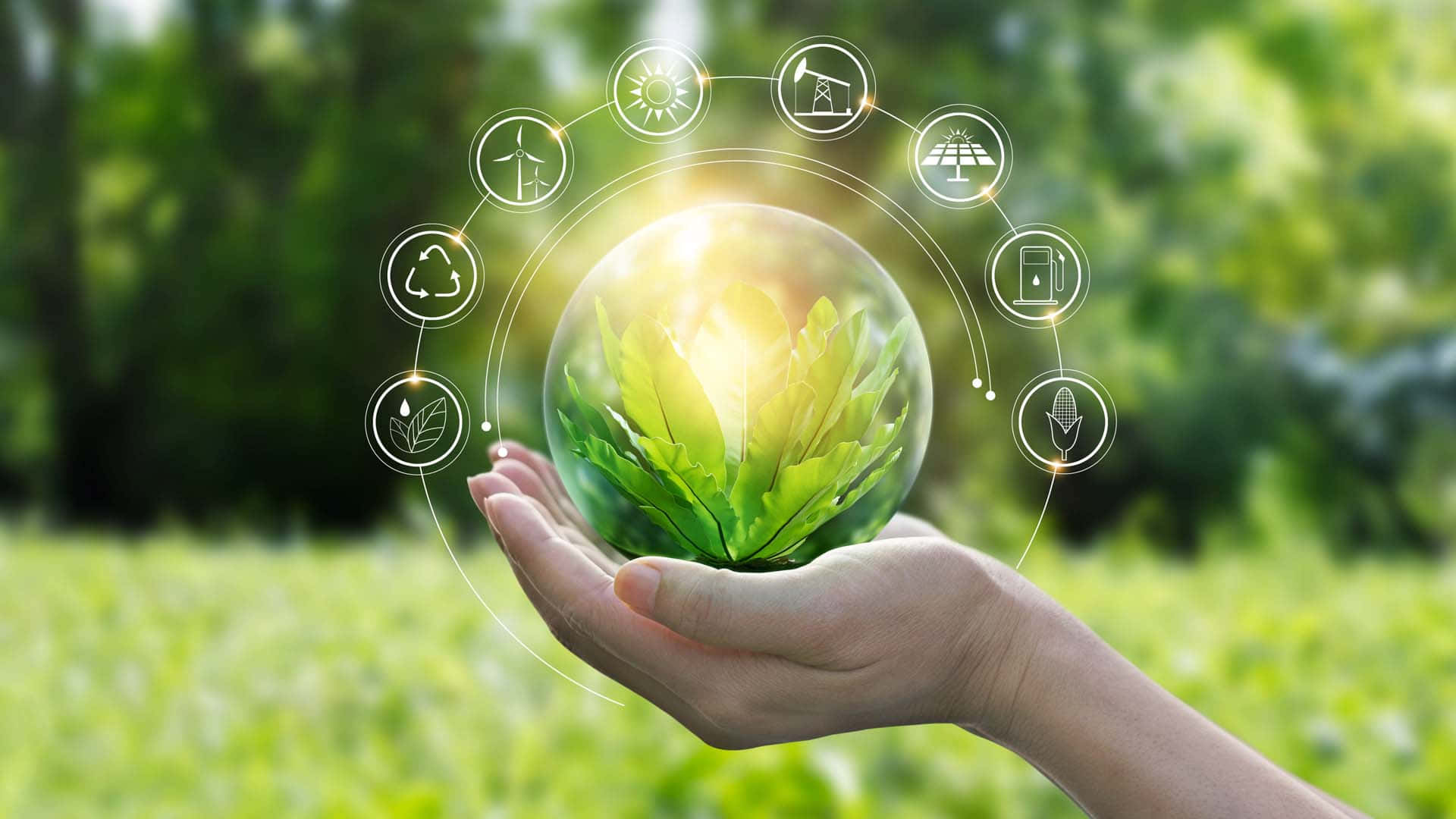 1920x1080 Green Economy Wallpaper