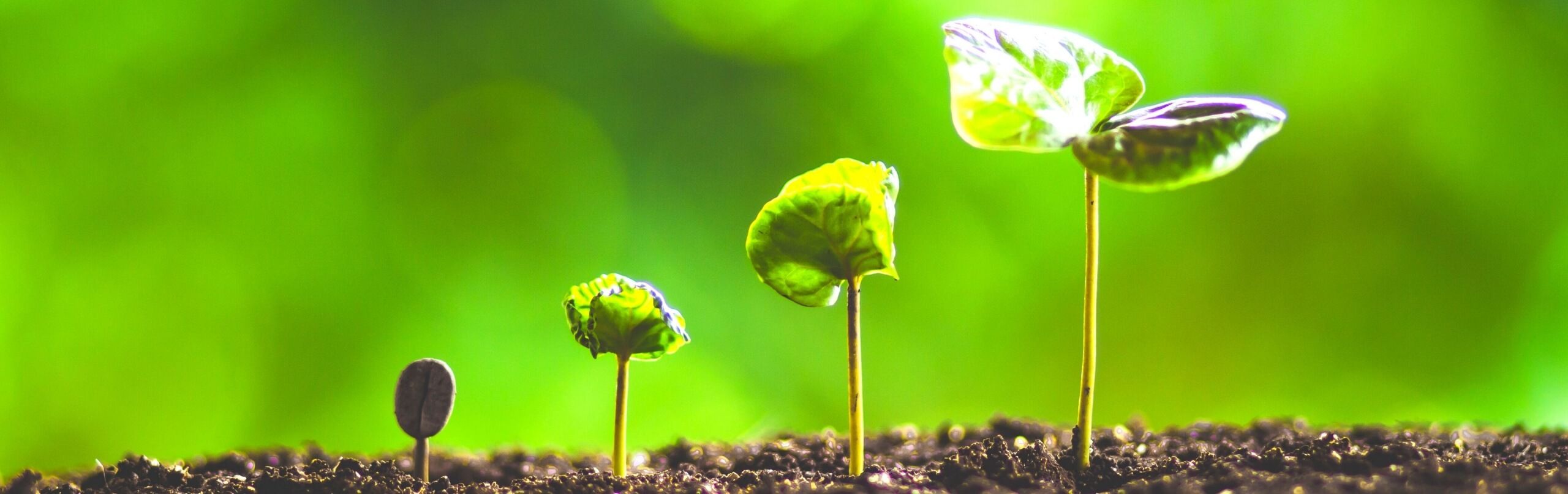 2560x808 Green Growth: Is it a Realistic Solution to the Climate Crisis?