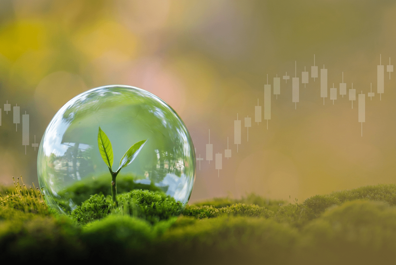 1264x848 Protect & grow wealth in uncertain times