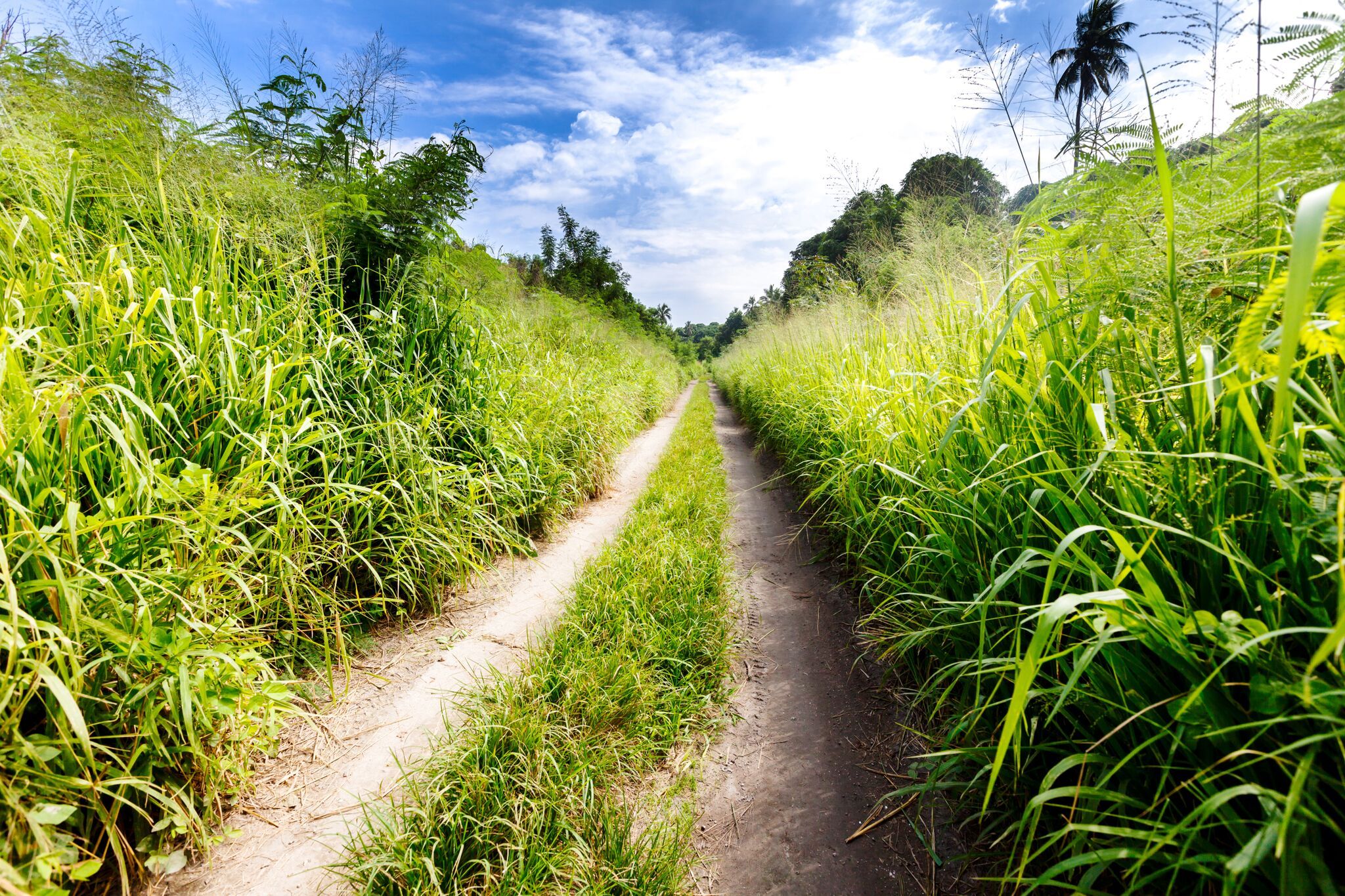 2048x1365 Vanuatu Parliament Approves Bill for the National Green Energy Fund