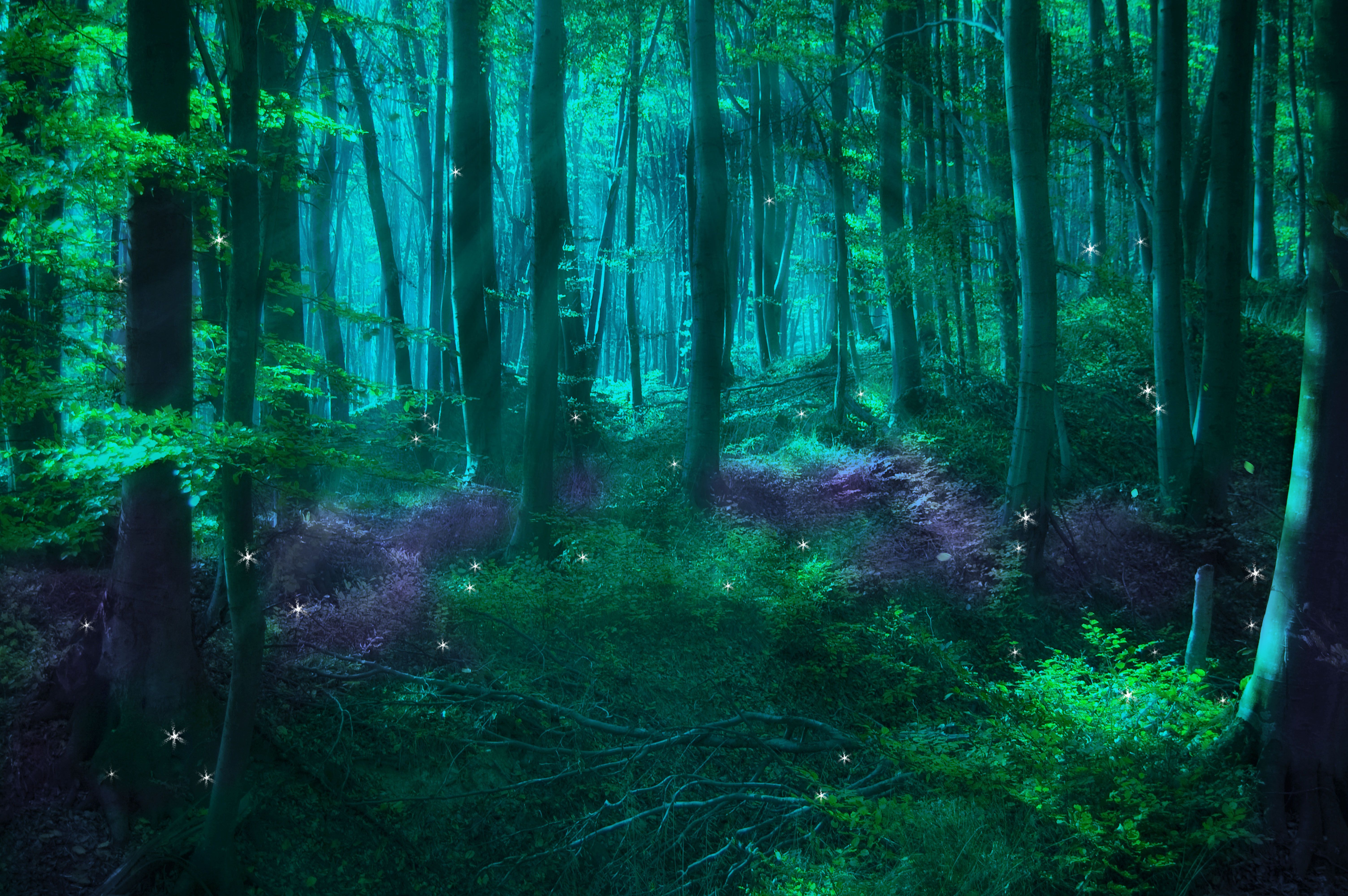 6016x4000 Wallpaper Green Grass and Trees During Daytime, Background Free Image