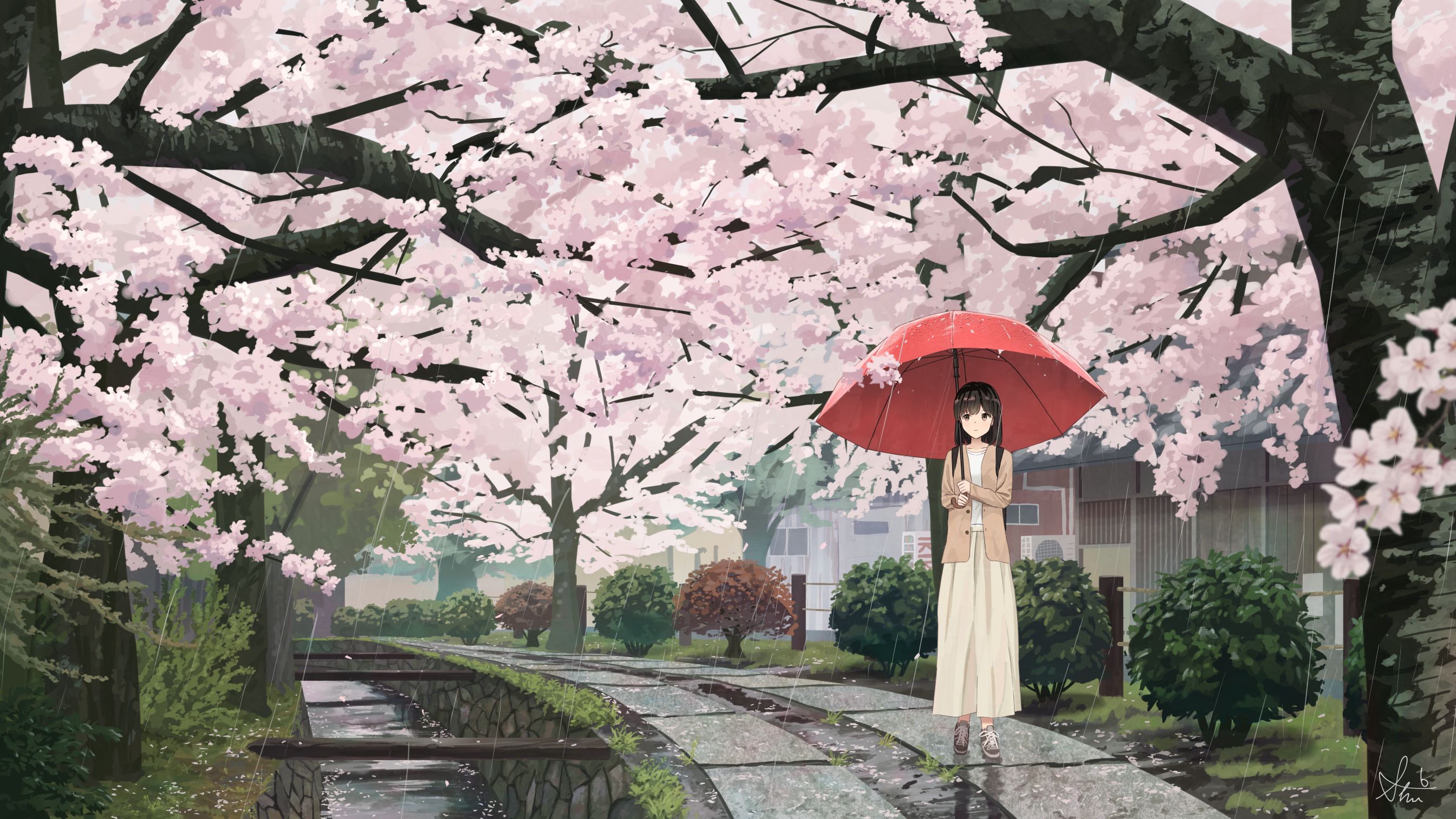2688x1512 Rain Sakura 4k Wallpaper