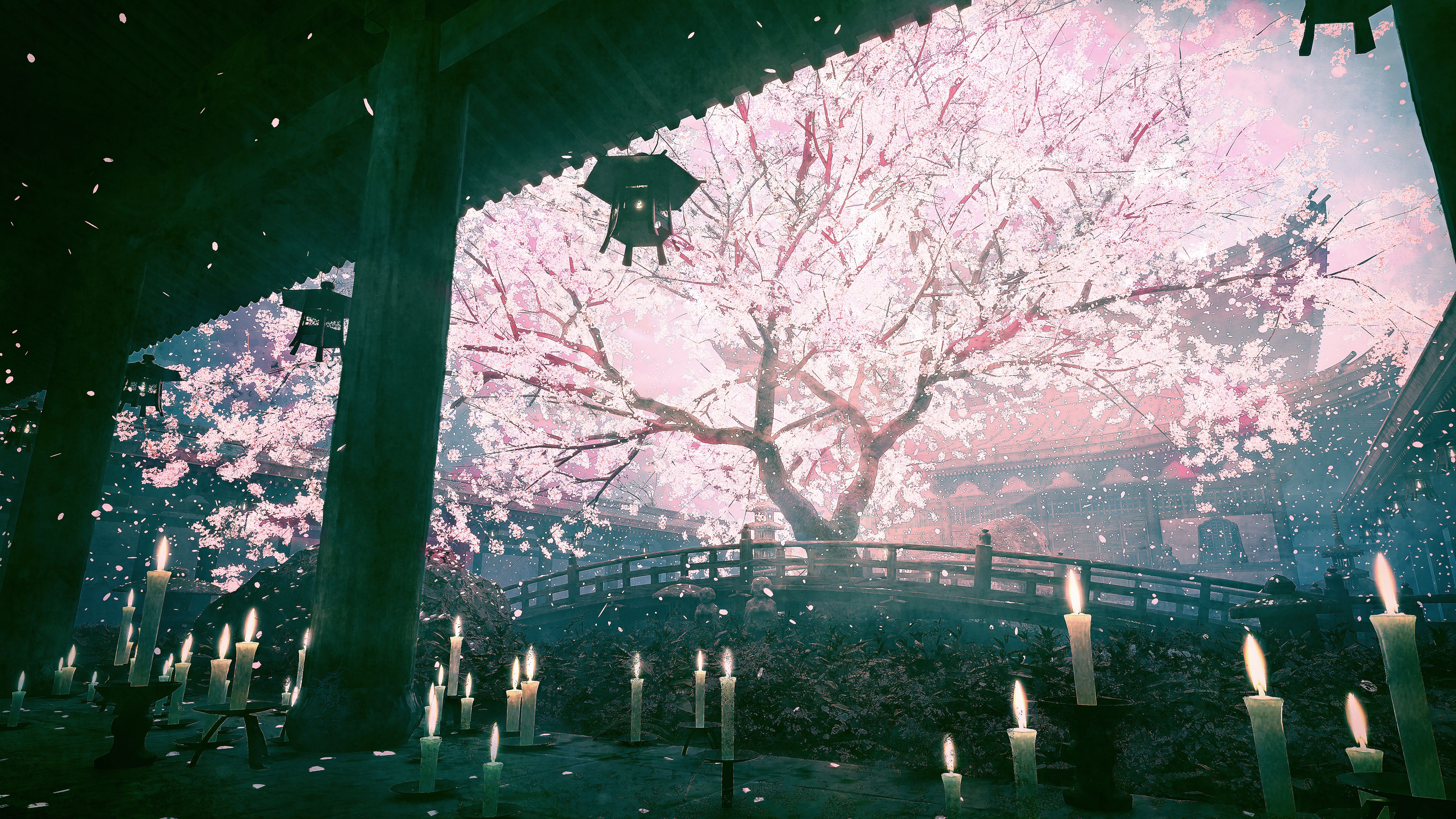 5184x2916 Rain Sakura 4k Wallpaper