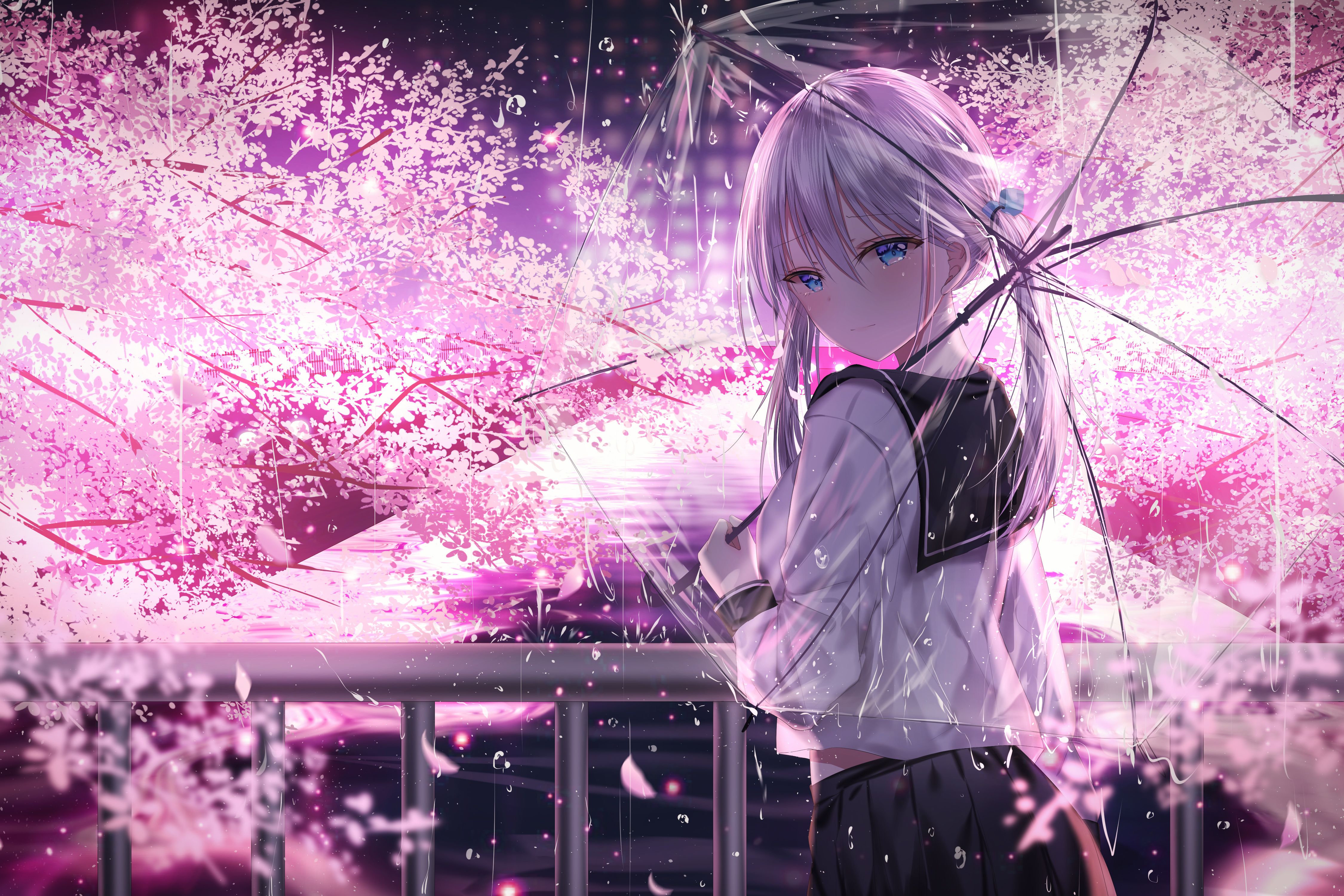 4500x3000 Rain Sakura 4k Wallpaper