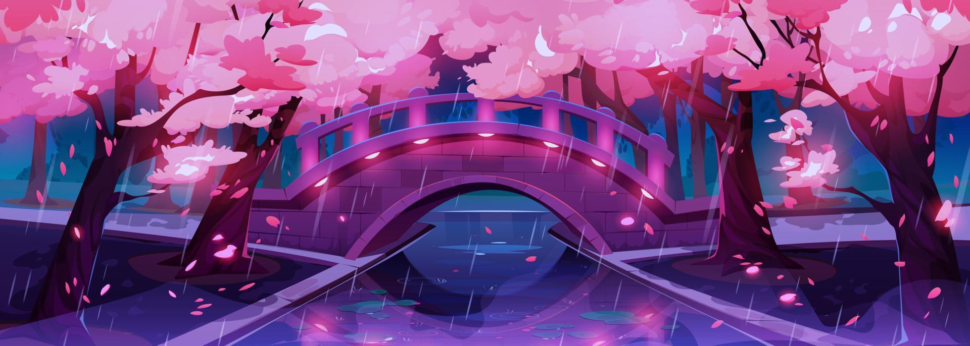 1920x686 Sakura blossom and bridge in rain at night