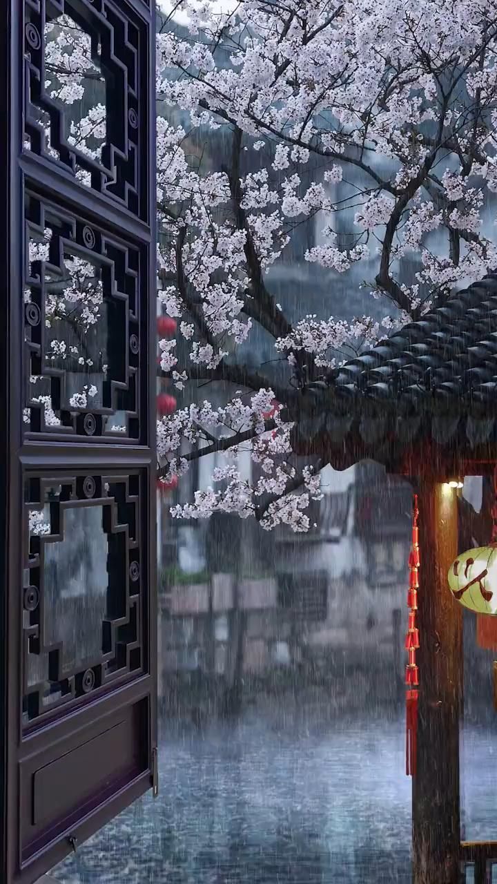 720x1280 ❤️