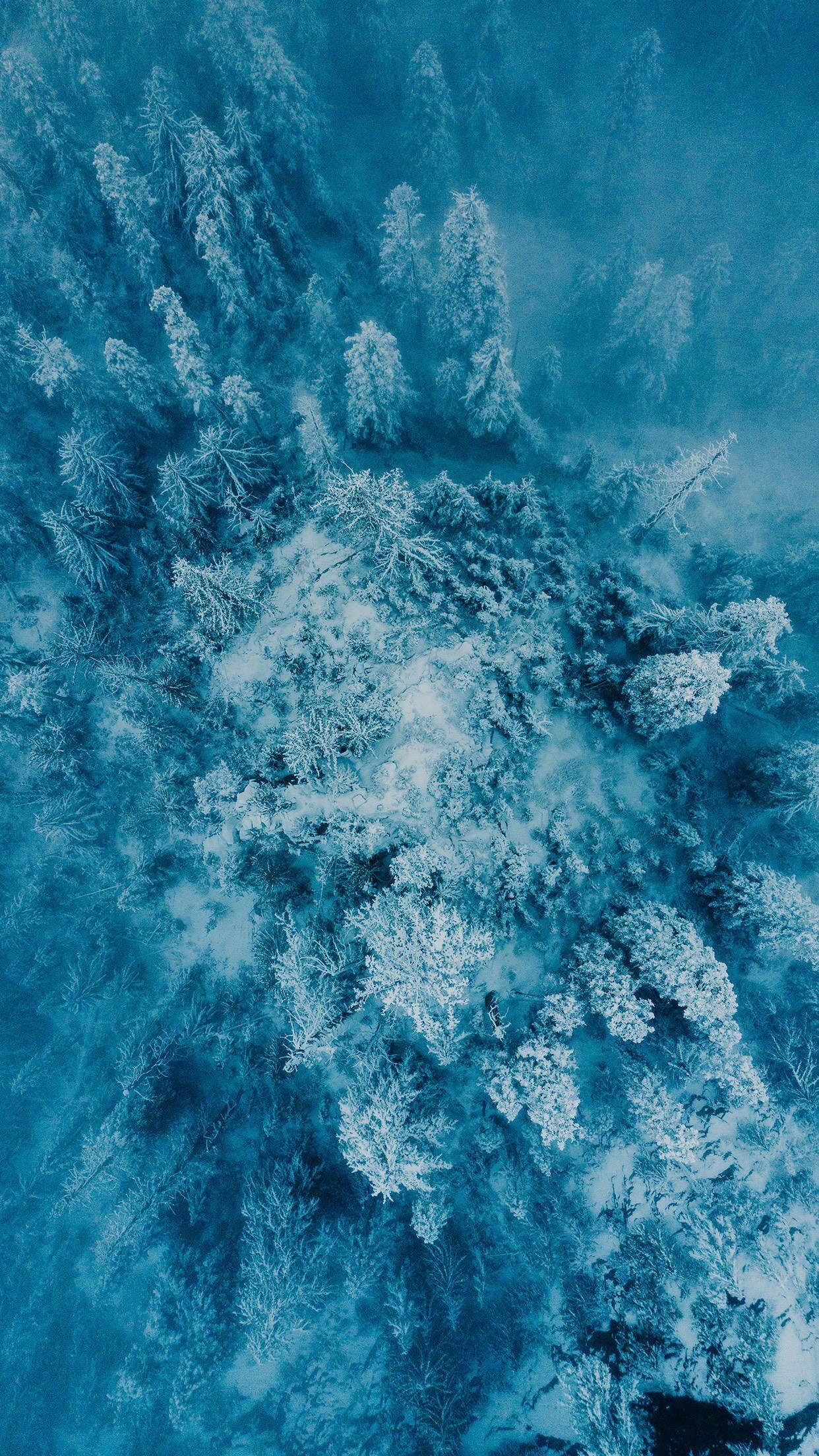 1242x2208 Frozen iPhone Wallpaper