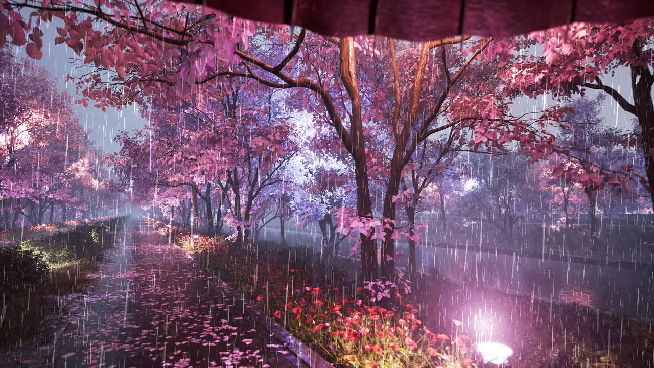 1280x720 Taking a walk in a park with cherry blossoms in full bloom with an umbrella
