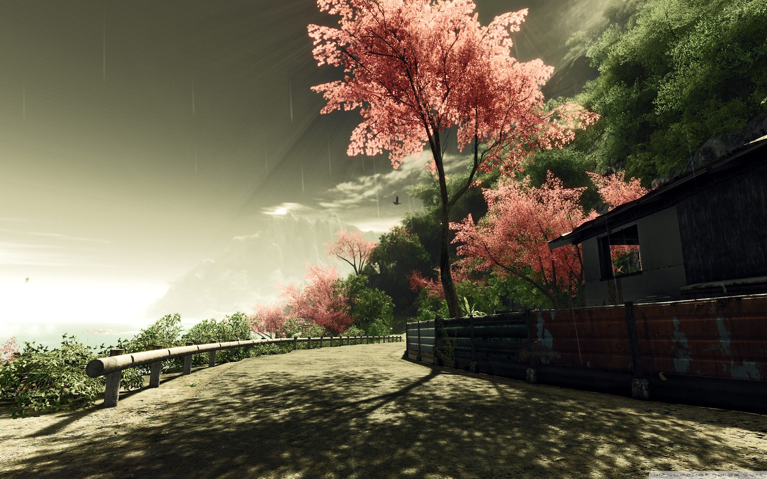 2560x1600 Crysis Sakura 4K UHD Wallpaper for UltraHD Desktop and TV : Smartphone and Tablet Devices