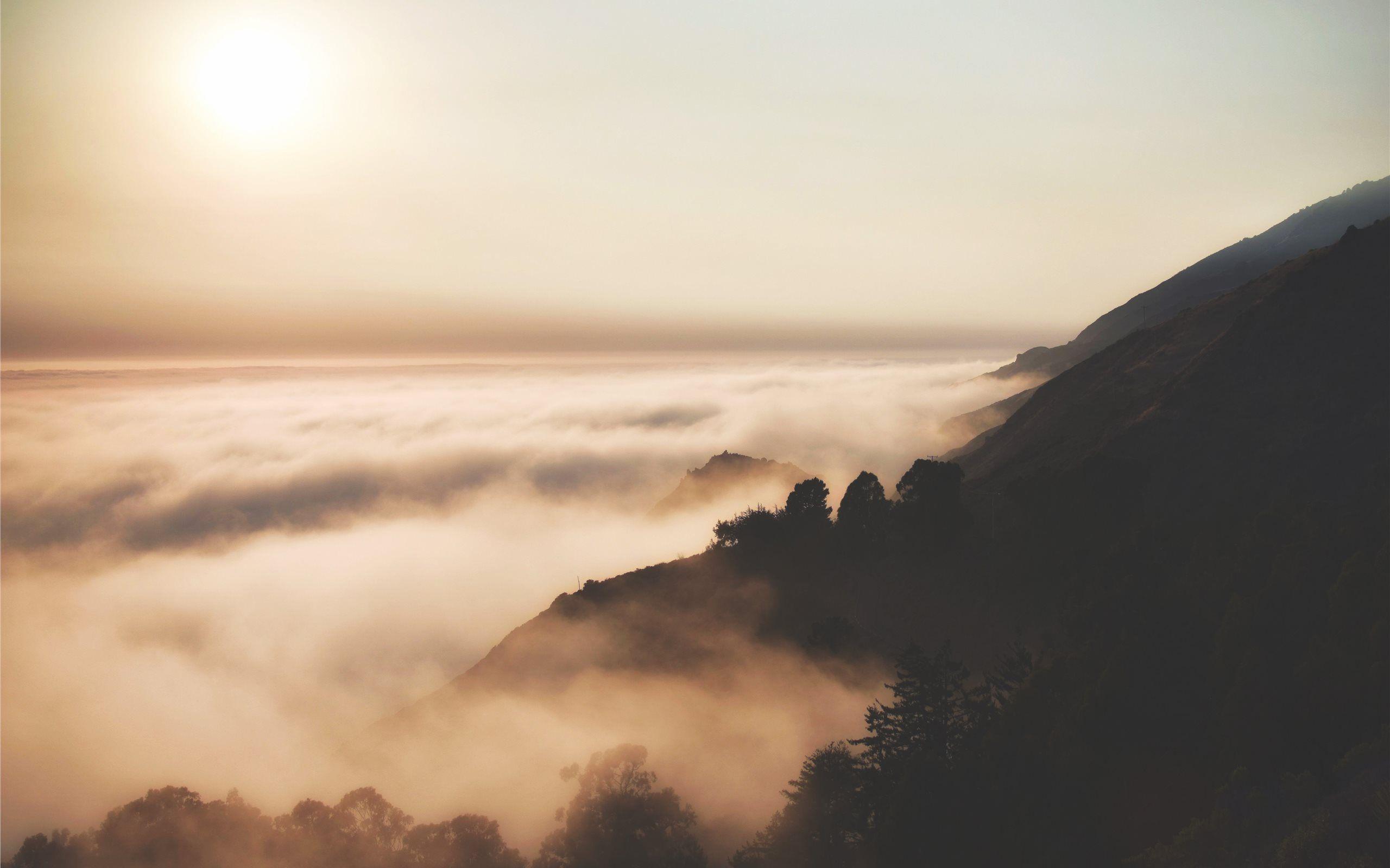 2560x1600 Big Sur forest sunrise MacBook Air Wallpaper Download