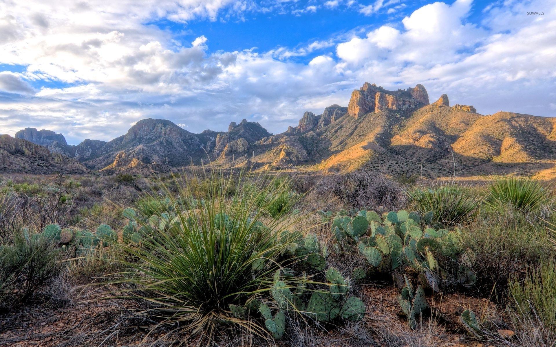 1920x1200 Big Bend wallpaper wallpaper