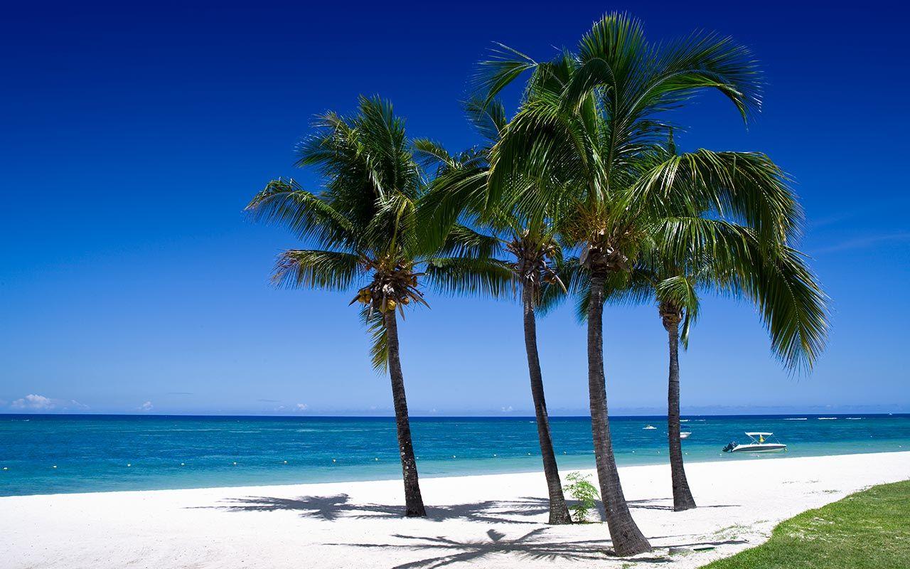 1280x800 Free Beach Background Image