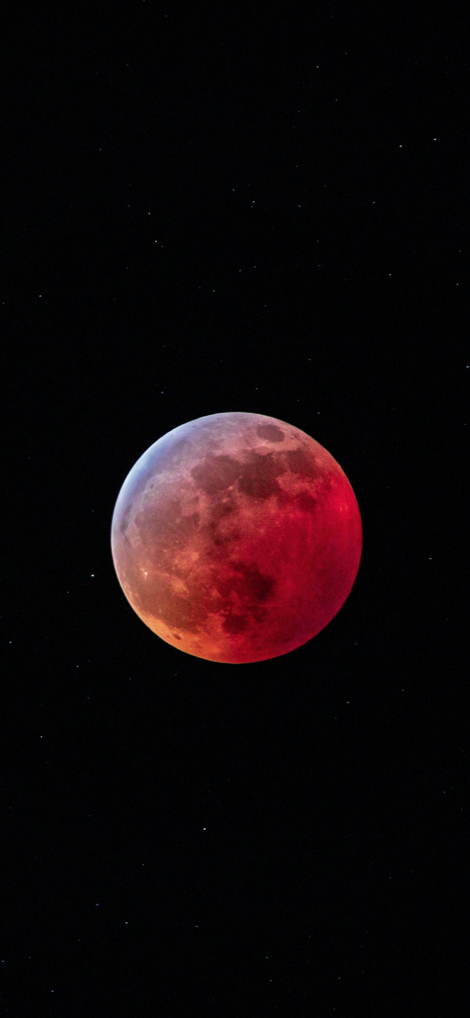 1593x3448 Super Blood Wolf Moon mobile wallpaper
