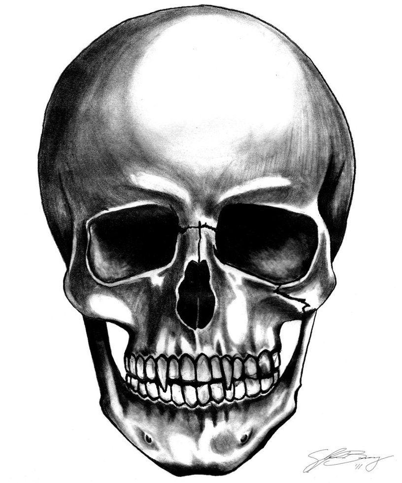 816x979 Vampire Skull
