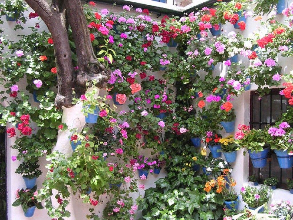 Secret Garden Wallpapers - Top Free Secret Garden ...