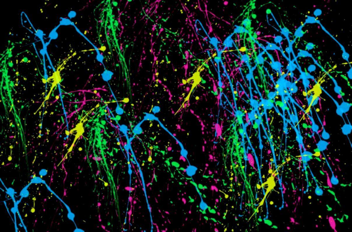 1208x796 Awesome Paint Splatter Background