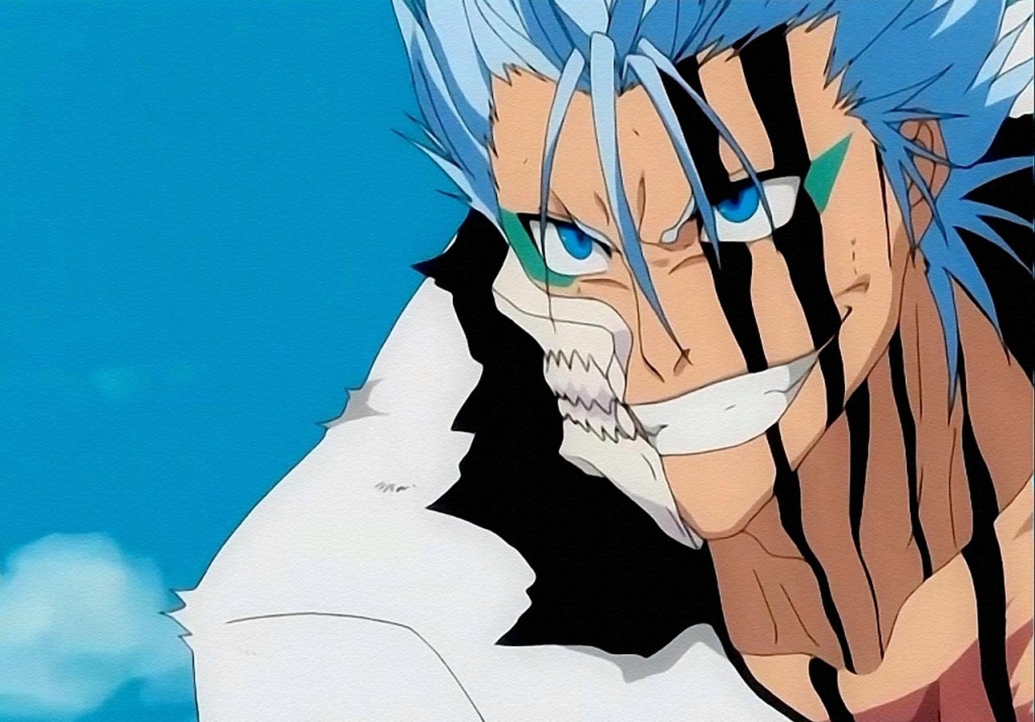 Grimmjow Wallpapers - Top Free Grimmjow Backgrounds - WallpaperAccess