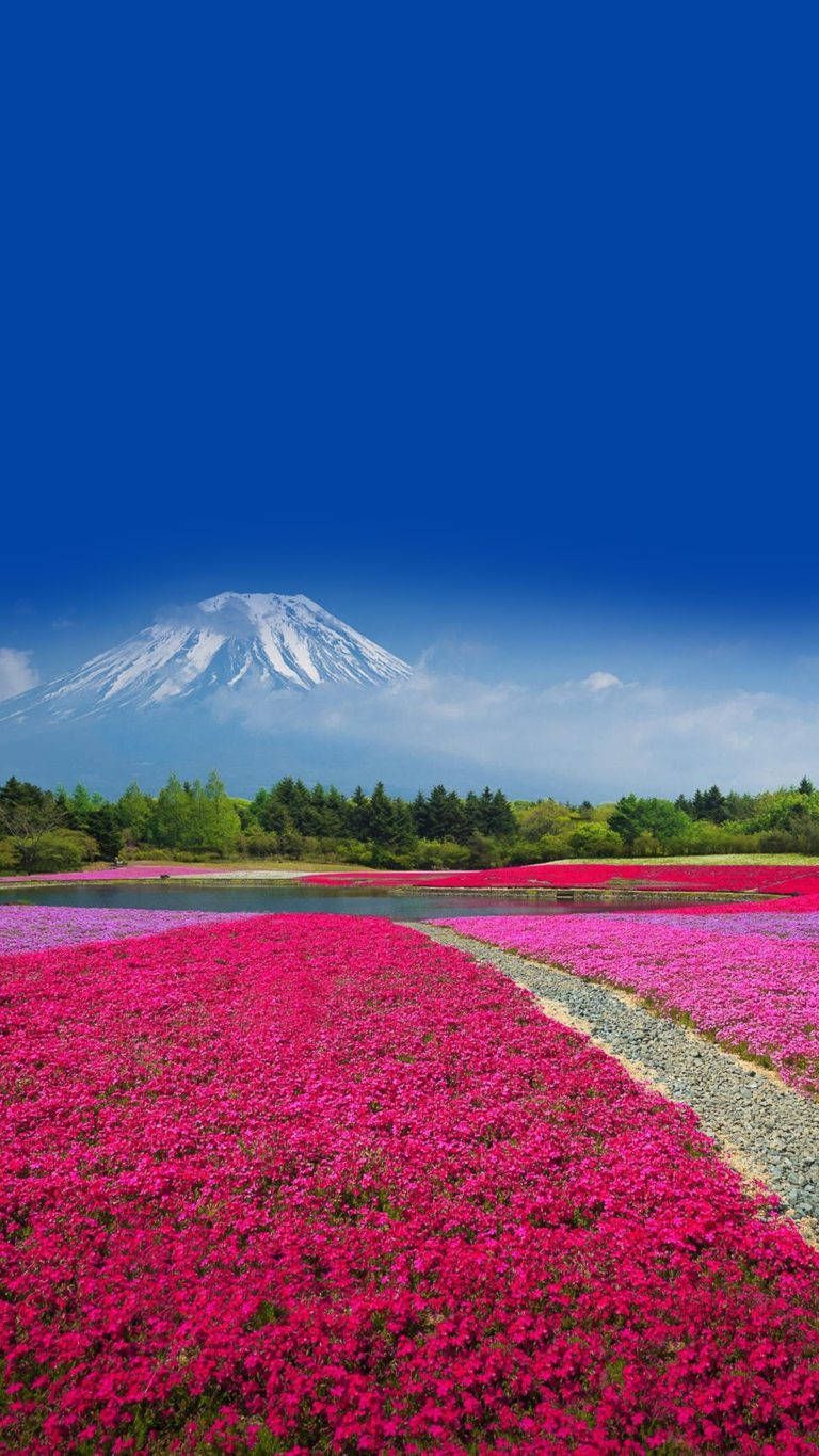 768x1365 Download Huawei Honor Mount Fuji Wallpaper