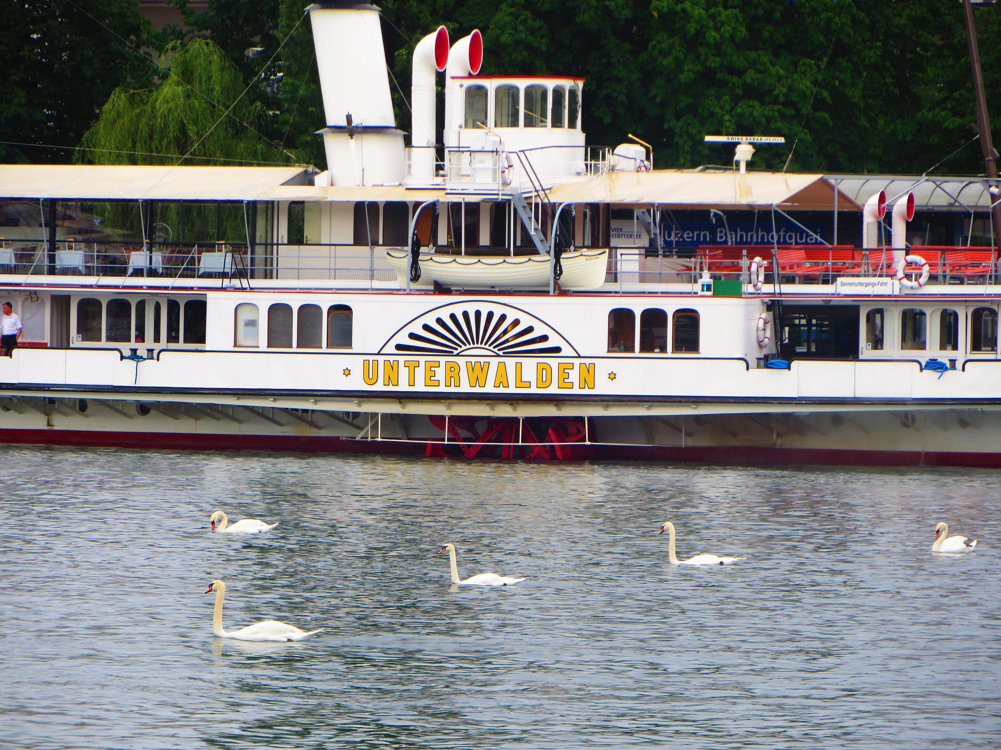 4000x3000 Switzerland, Luzern, Boat, swan, Water Wallpaper HD / Desktop