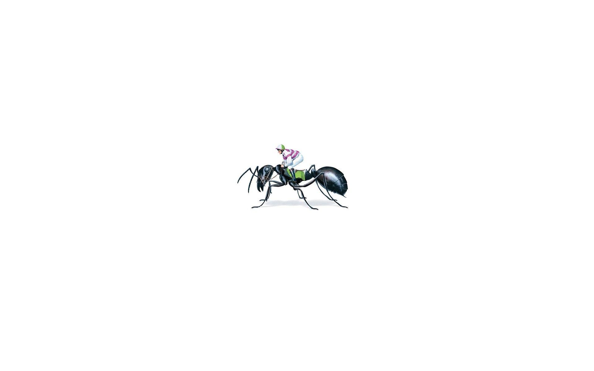 1920x1200 digital Art, Minimalism, Animals, White Background, Ants, Horse