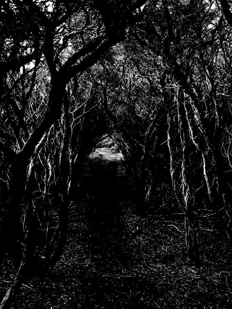 768x1024 Free download Morbid Background Photo
