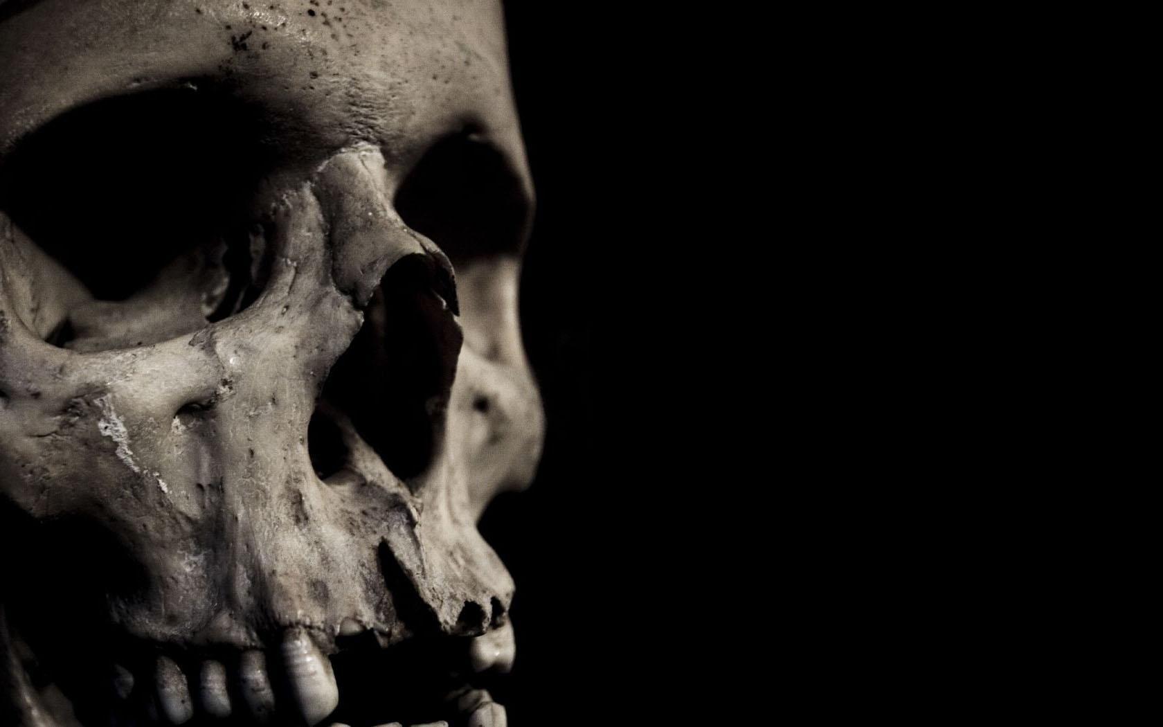 1680x1050 Skull Wallpaper And Background Image Wallpaper HD Quotes