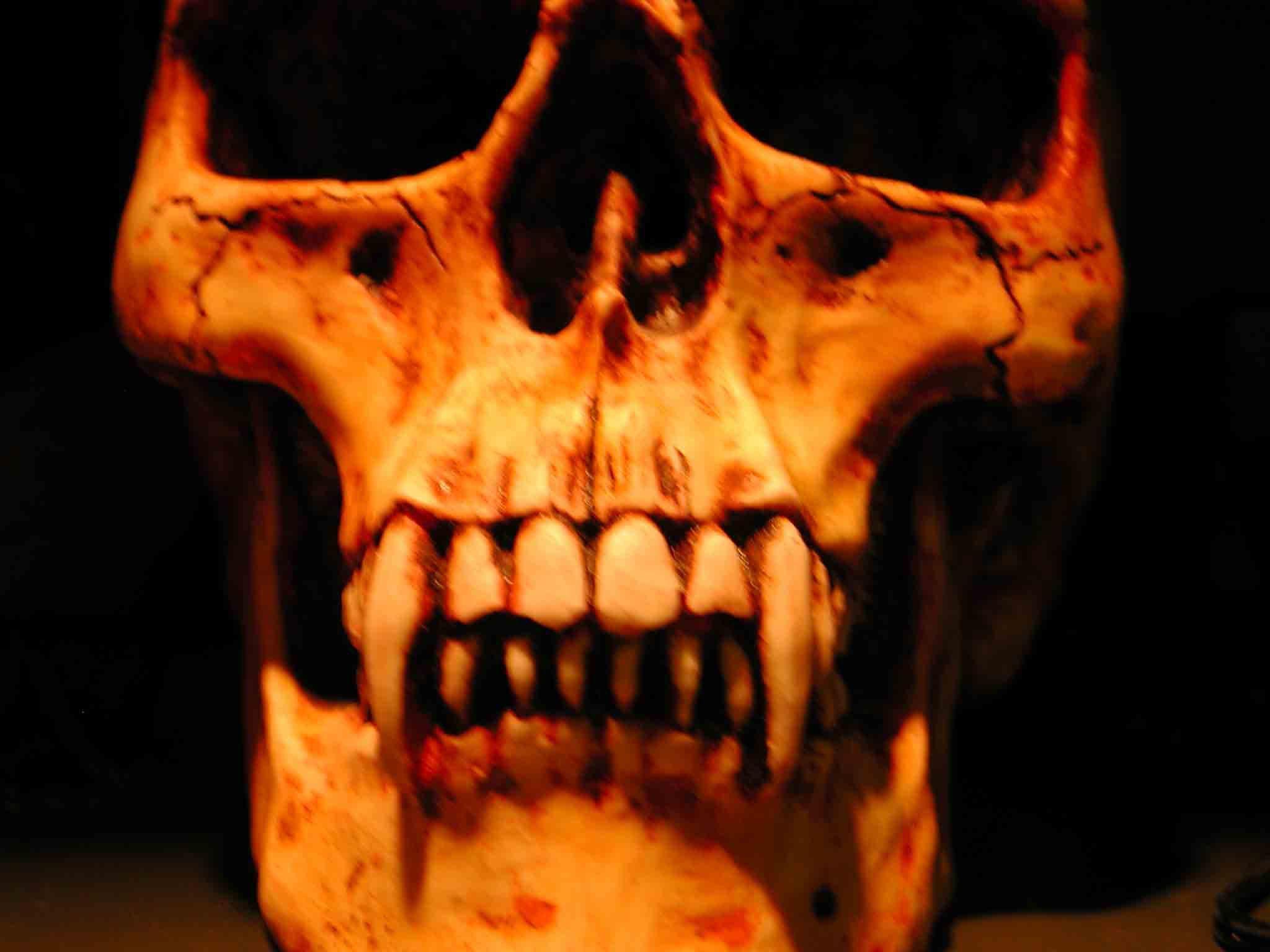 2048x1536 Vampire skull