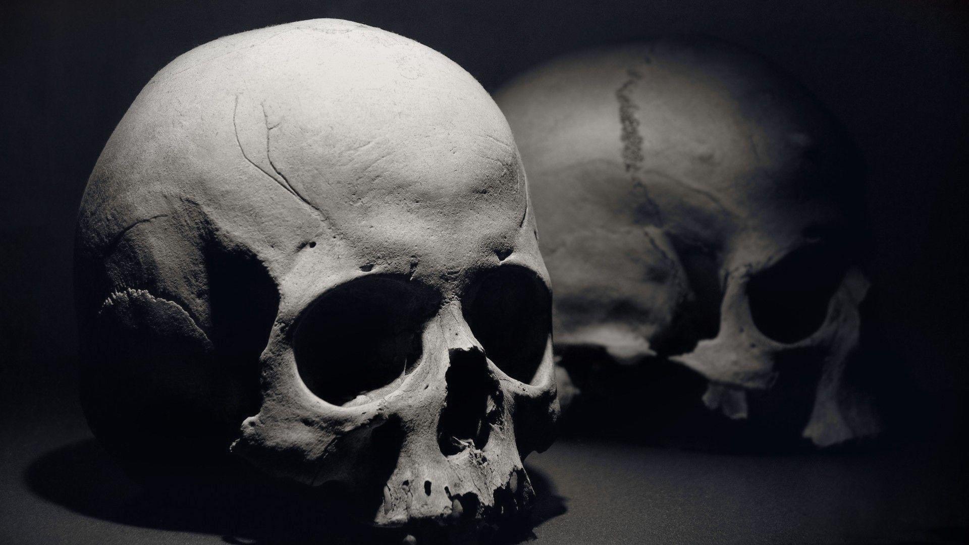 1920x1080 Vampire Skull by dieFused on Clipart library