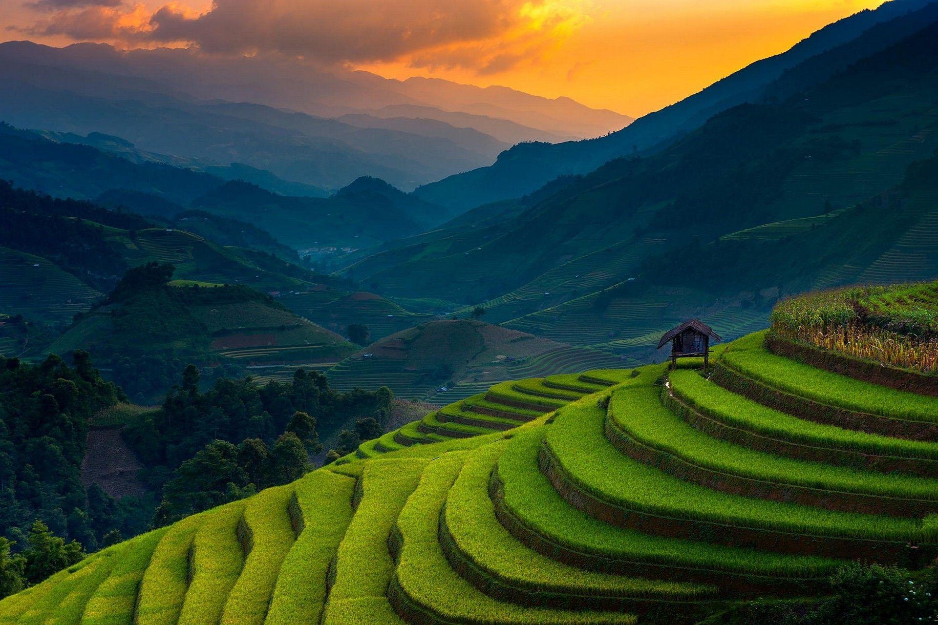 1920x1280 landscape, Nature, Rice Paddy, Terraces, Mountain, Sunset, Field