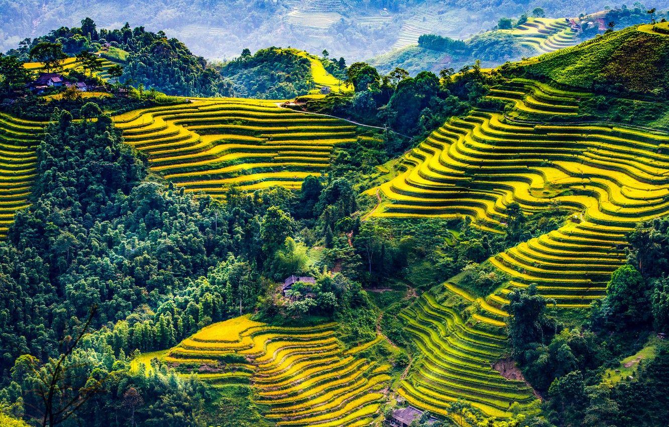 Vietnam Landscape Wallpapers - Top Free Vietnam Landscape Backgrounds ...