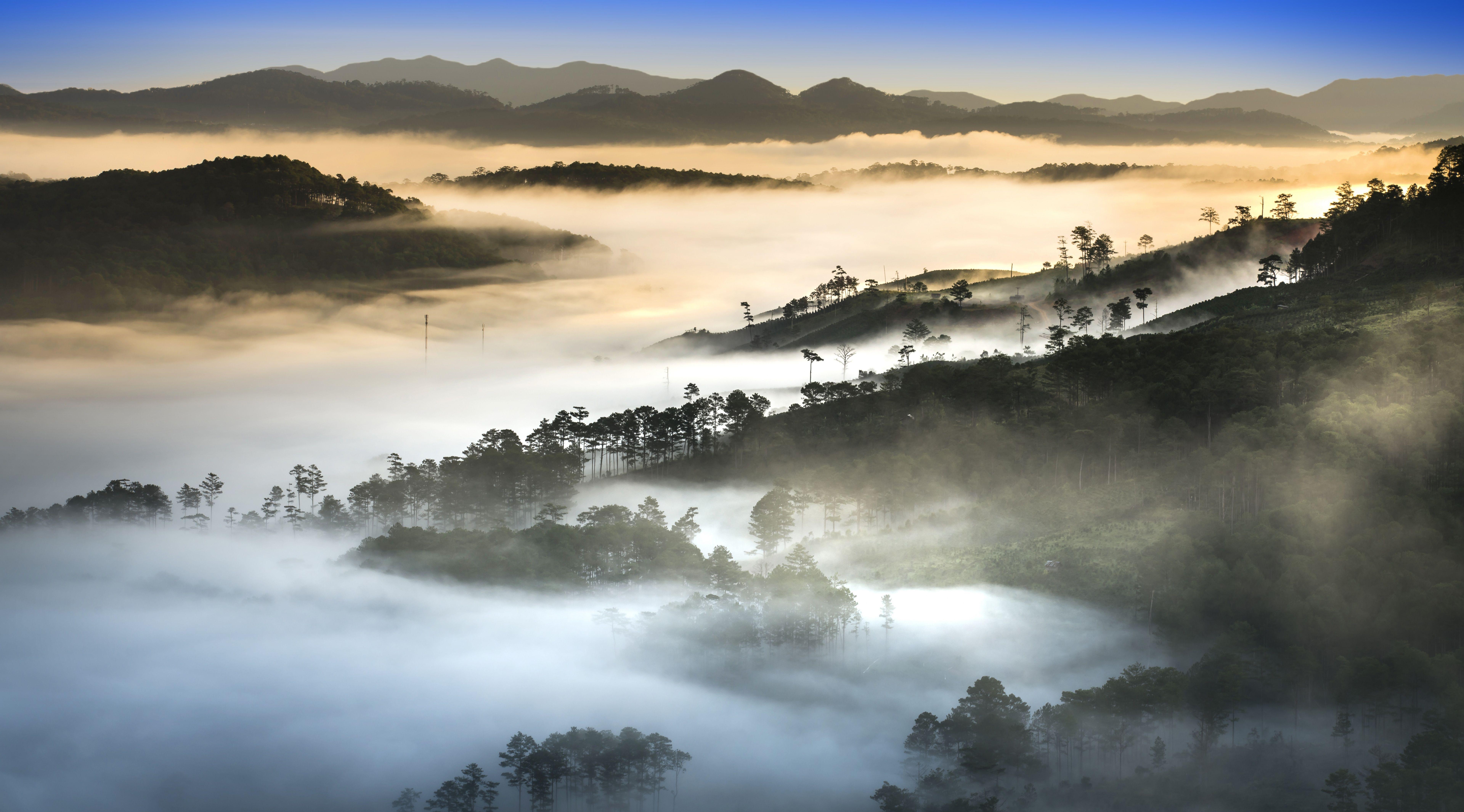 7680x4262 Vietnam Landscape Forest Dense Fog 5k Retina Ultra HD Wallpaper