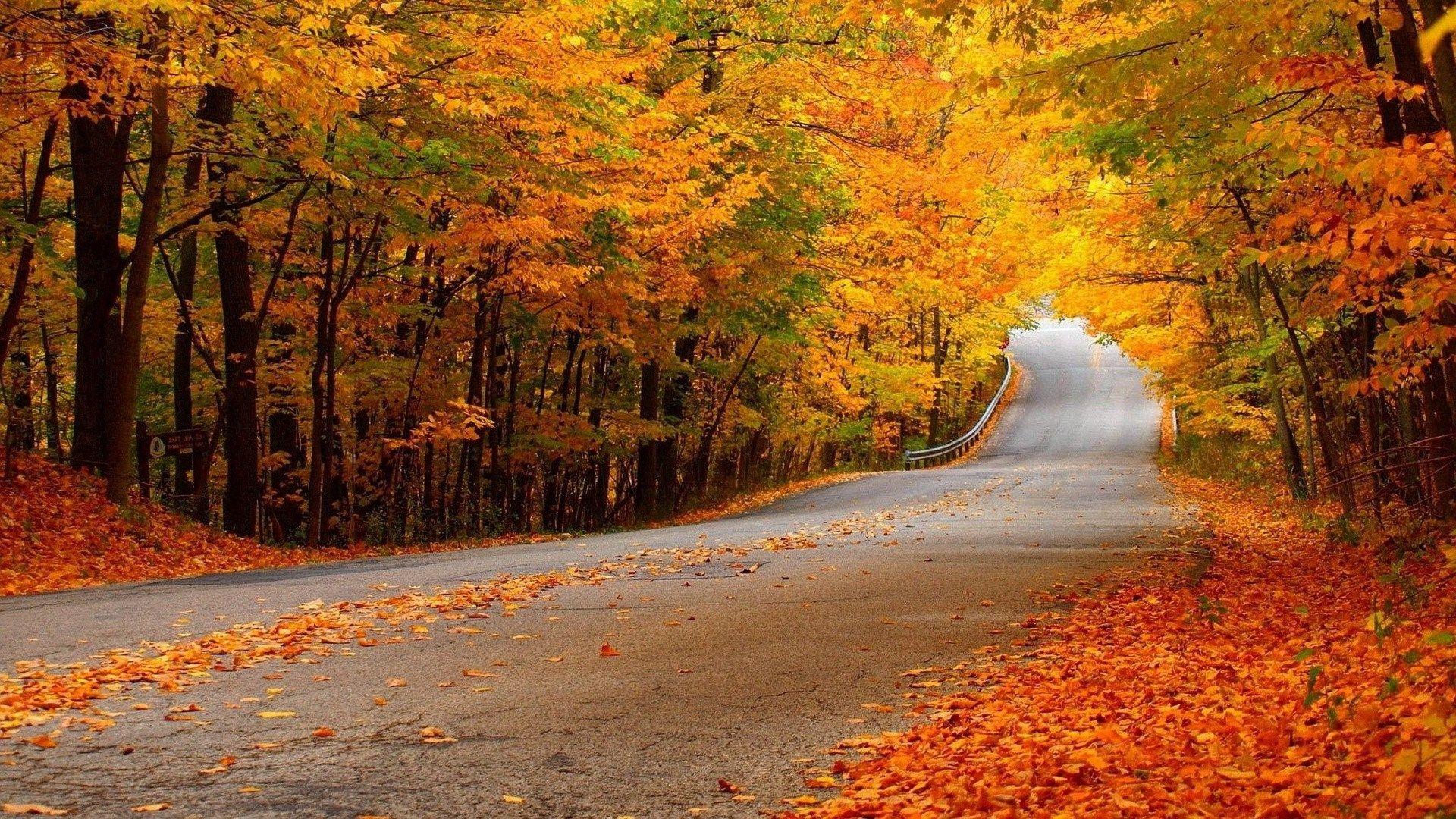 Autumn Season HD Wallpapers - Top Free Autumn Season HD Backgrounds ...