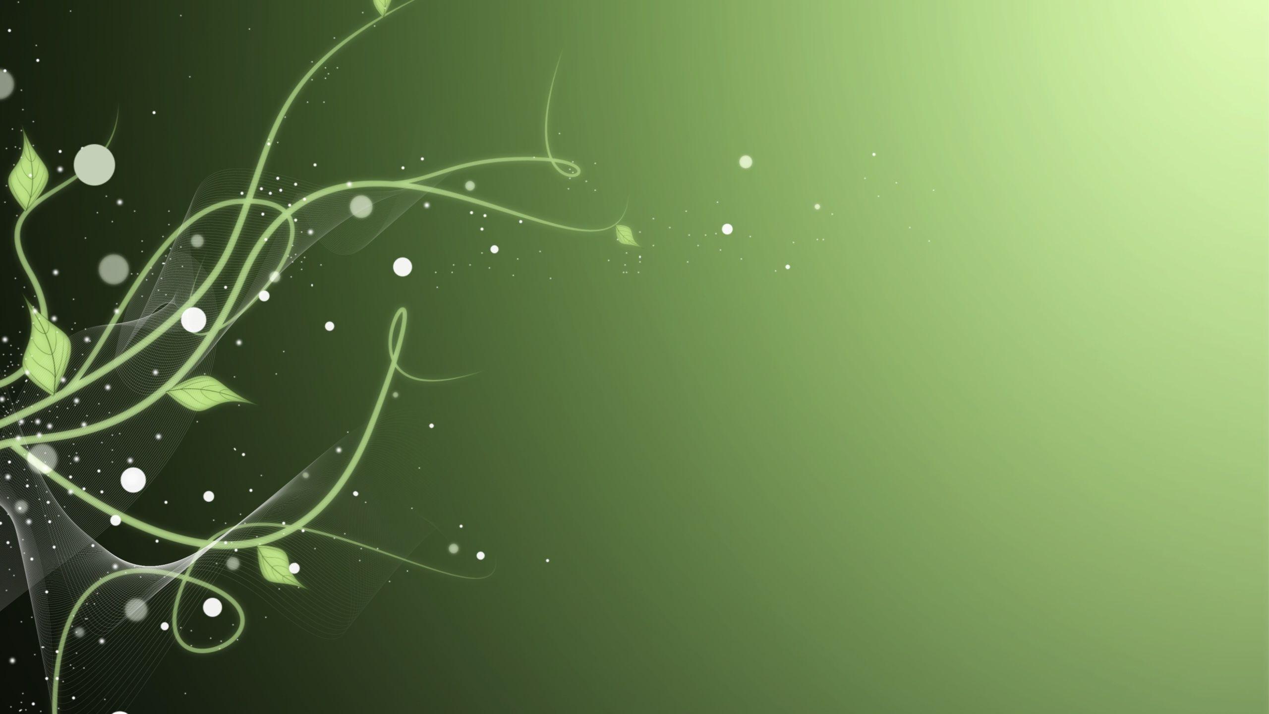 2560x1440 Vine Wallpaper
