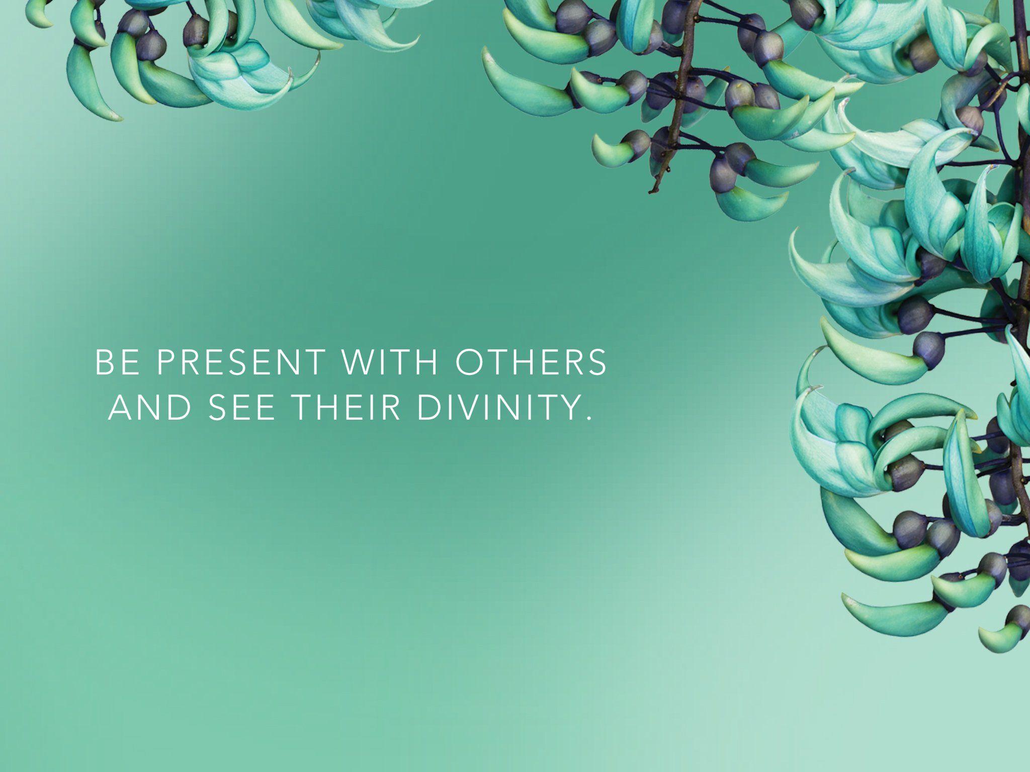 2048x1536 JADE VINE GOODIES