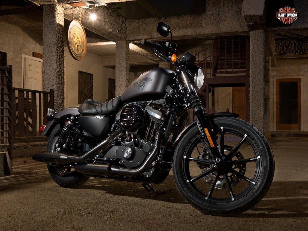 Iron 833 Harley Davidson Promotion Off61