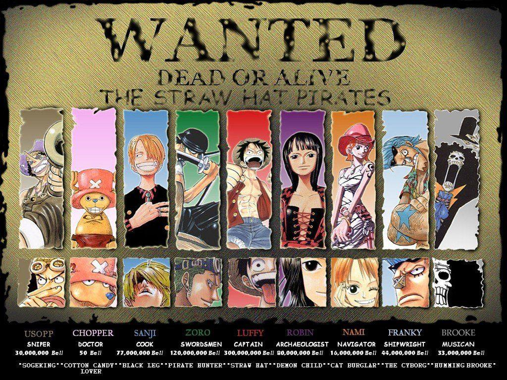 1024x768 One Piece, Monkey D. Luffy, Usopp, Tony Tony Chopper, Sanji, Roronoa Zoro, Nico Robin, Nami, Brook, Franky Wallpaper HD / Desktop and Mobile Background