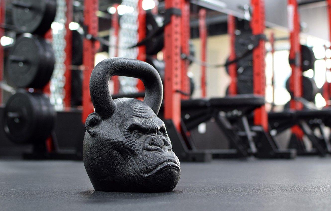 1332x850 Onnit Wallpaper