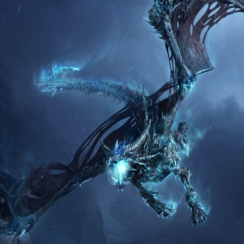 Skeleton Dragon Wallpapers - Top Free Skeleton Dragon Backgrounds